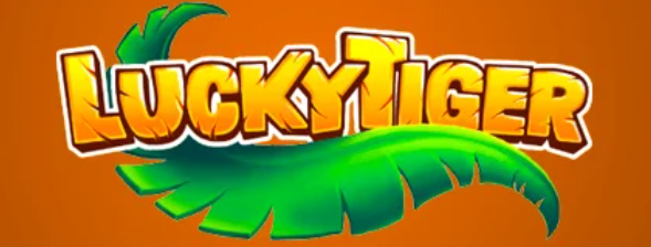 A beginner's guide everything you need to know about online gaming at Lucky Tiger Casino 1